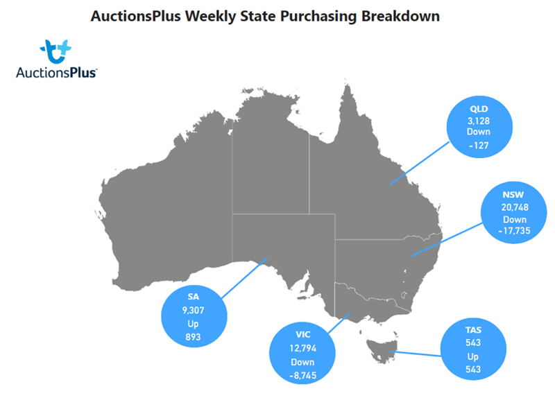 Auctionsplus state purchasing breakdown 3.2.23