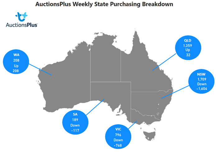 Auctionsplus state purchasing breakdown cattle 3.2.23