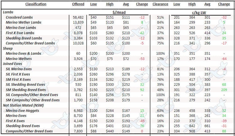 Auctionsplus table 1 sheep and lamb 20.1.23