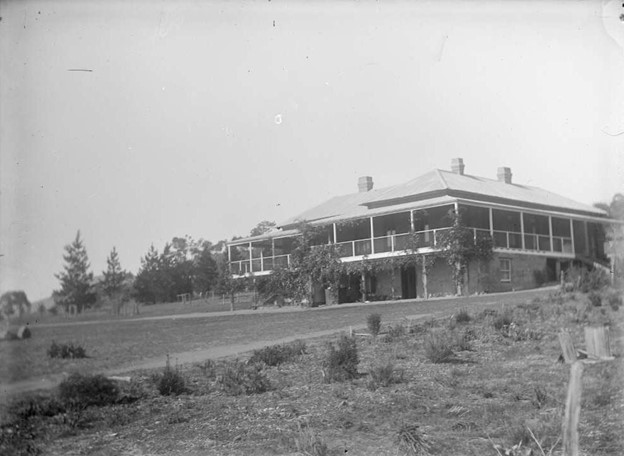 Auctionsplus the box 20.5.22 Where there’s a will there’s a way to wheat Lambrigg Homestead. Credit National Library of Australia.