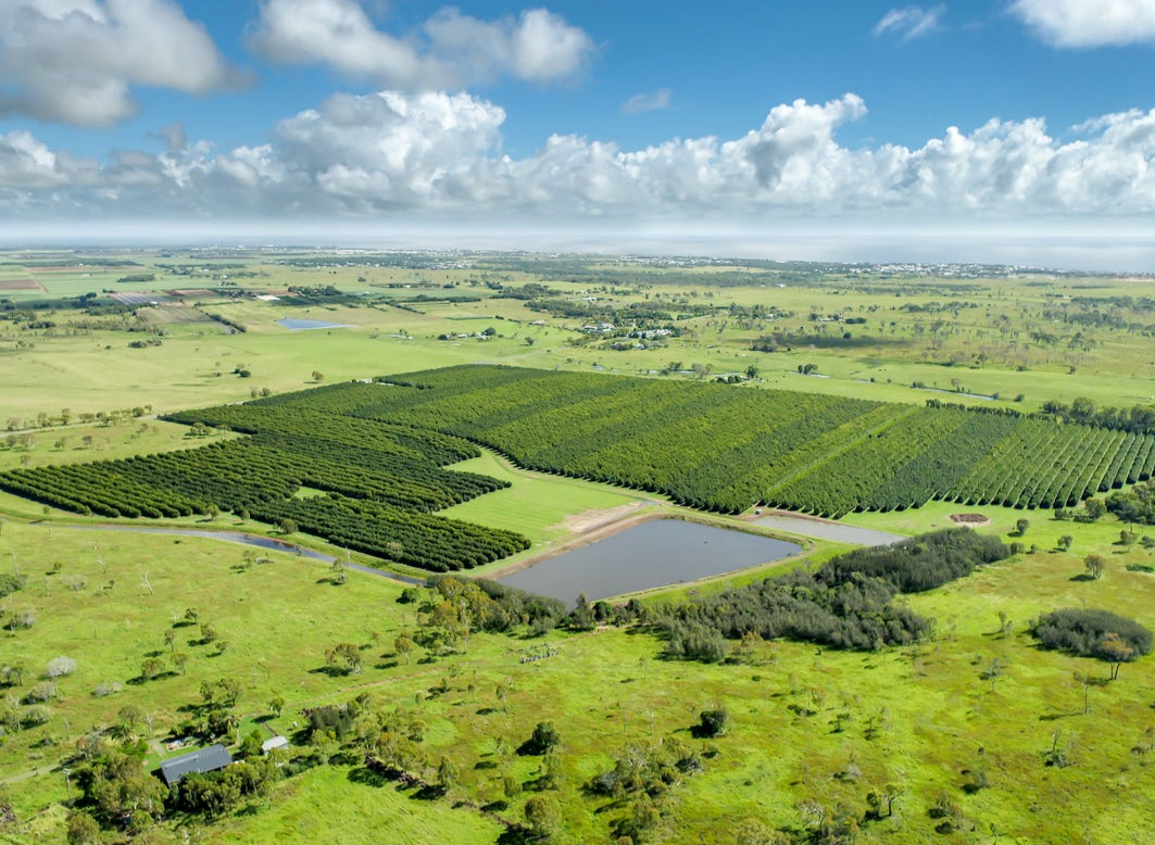 Auctionsplus the box 8.5.22 Bundaberg Property