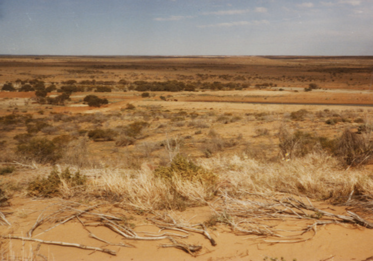 Auctionsplus the box Lignam Dam on Mundowdna Station in 1984. Credit State Library of South Australia.