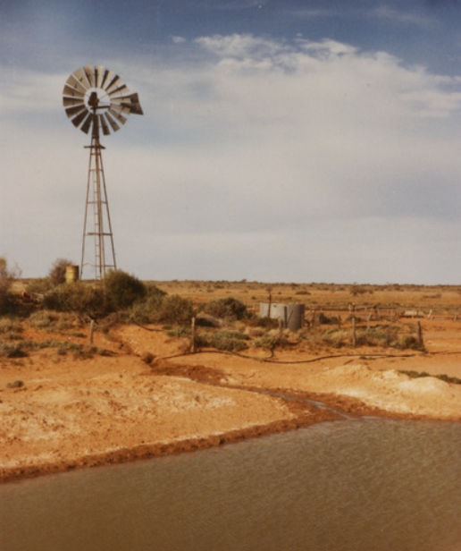 Auctionsplus the box Waterhole near the woolshed on Mundowdna Station in 1984. Credit State Library South Australia 14.6.22