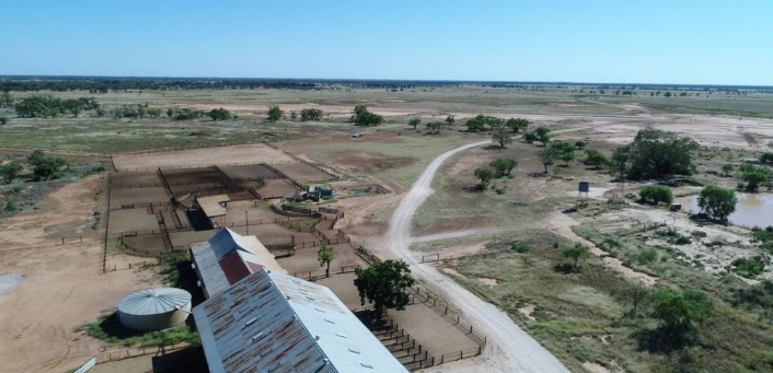 Auctionsplus the box Womboin Station on the tightly held Marra Creek, NSW sells after 43 years 26.9.22