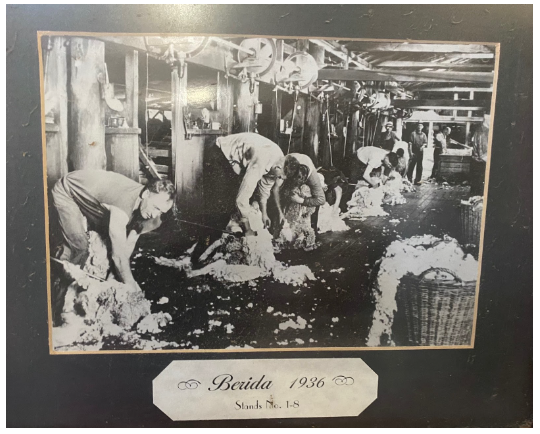 Auctionsplus the box photo of shearing at Berida in 1936 1.8.22