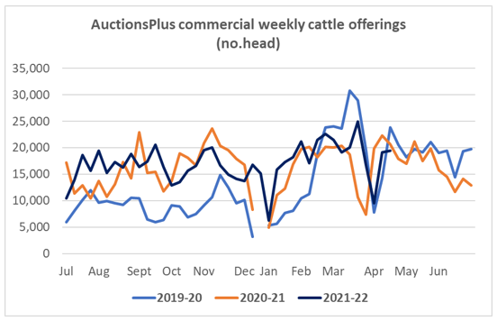 Auctionsplus weekly cattle comments 29.4.22 commercial weekly cattle offering graph