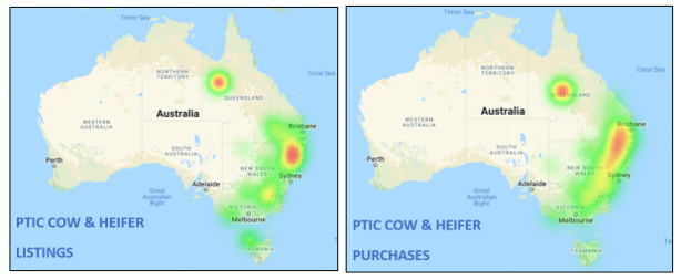 Auctionsplus weekly cattle comments 29.4.22 ptic cow and heifer listing and purchase heatmap