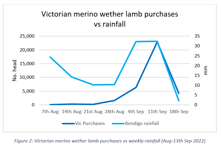 Auctionsplus weekly sheep and lamb listing fig 2 14.9.22