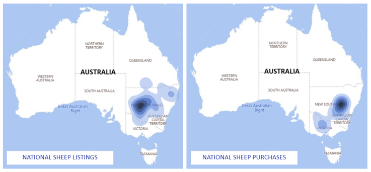 Auctionsplus weekly sheep and lamb national sheep listing and purchases 31.8.22