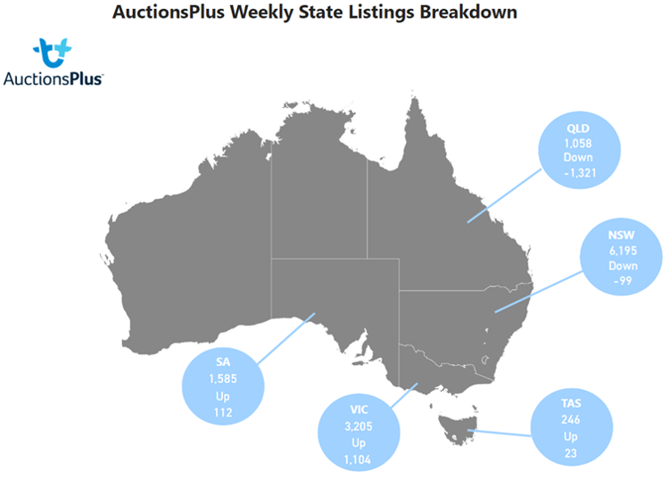 Auctionsplus weekly state listings breakdown 27.1.23 cattle