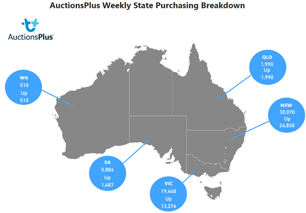 Auctionsplus weekly state purchasing breakdown 13.1.23