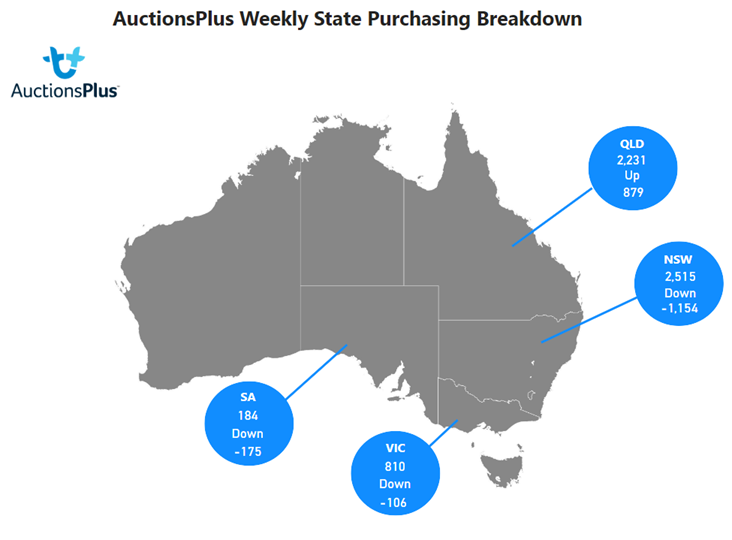 Auctionsplus weekly state purchasing breakdown 20.1.23 Cattle