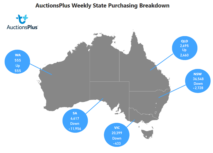 Auctionsplus weekly state purchasing breakdown 27.1.23