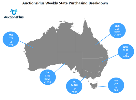 Auctionsplus weekly state purchasing breakdown 9.12.22