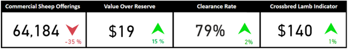 Auctonsplus commercial sheep offerings 4.11.22