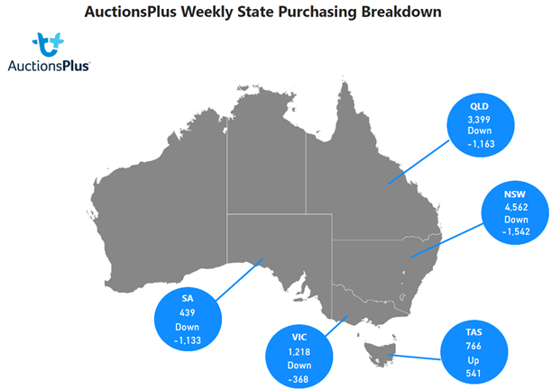 Austionsplus weekly state purchasing breakdown 2.12.22