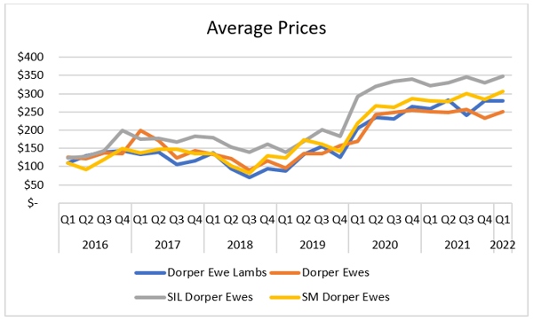 Average Prices Sheep