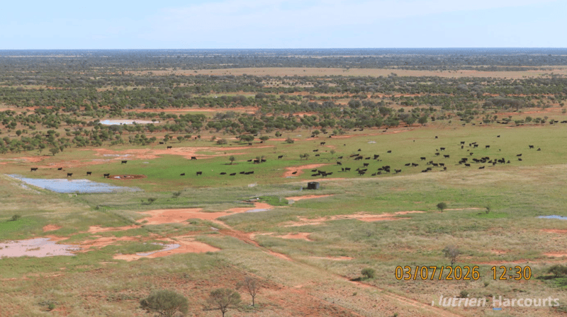 BORRONA DOWNS STATION 1