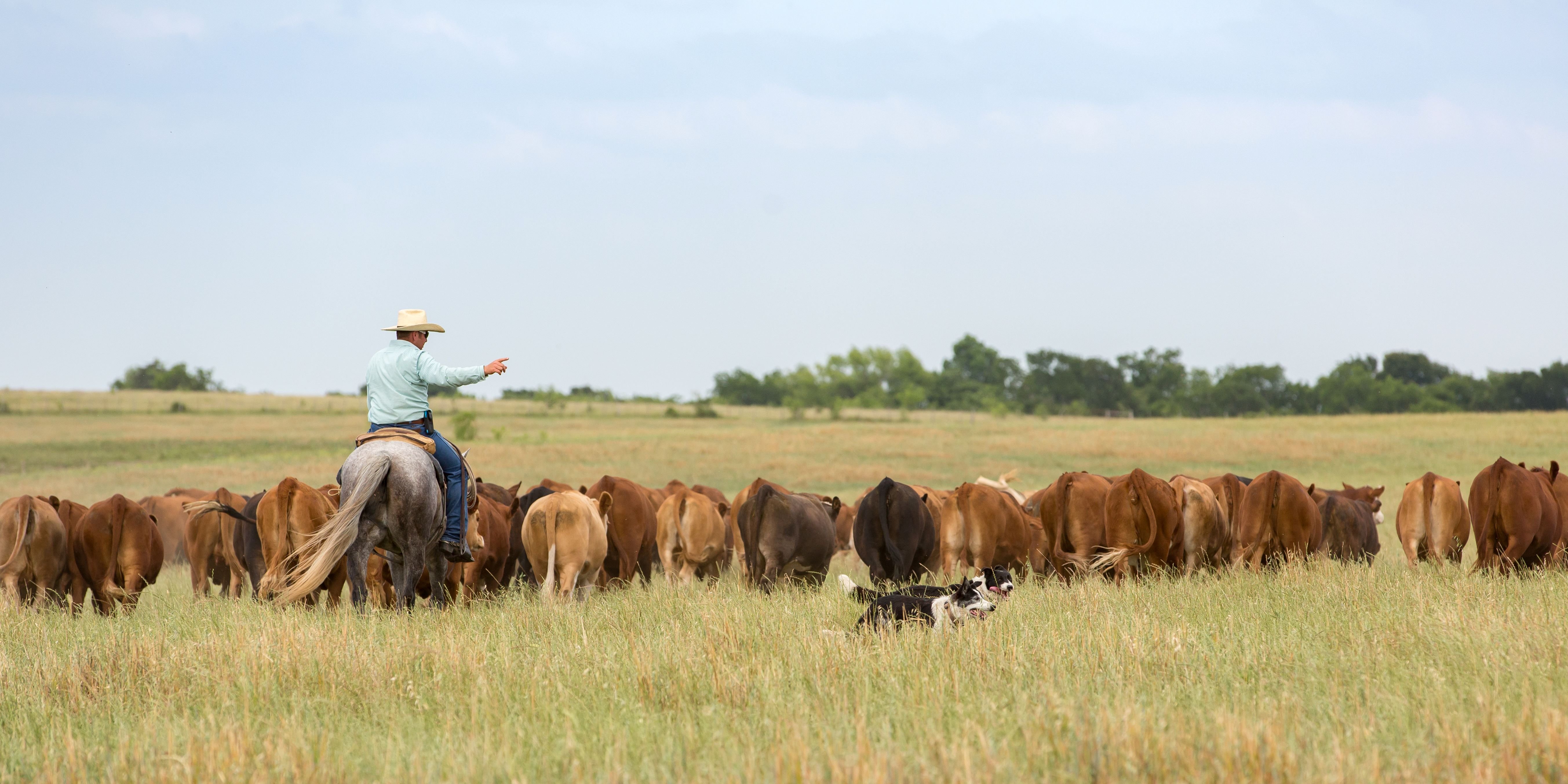 Biosecurity