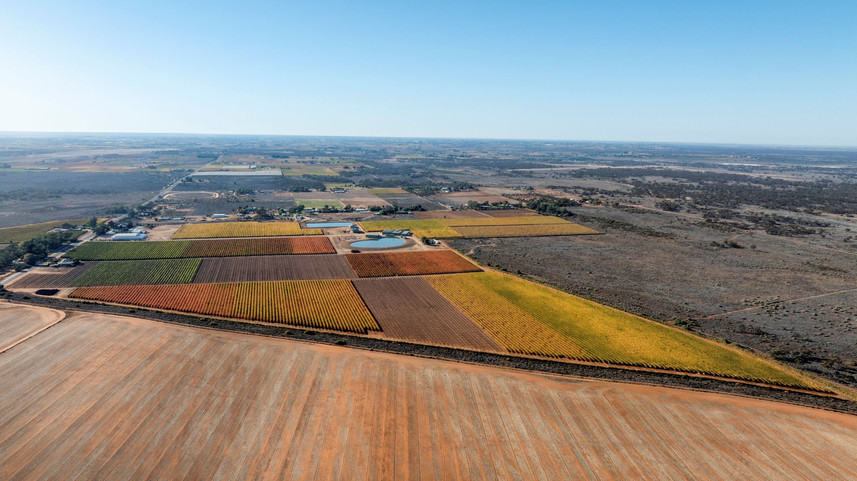 CBRE - 888 Produce, 3784 Walnut Avenue Koorlong 1