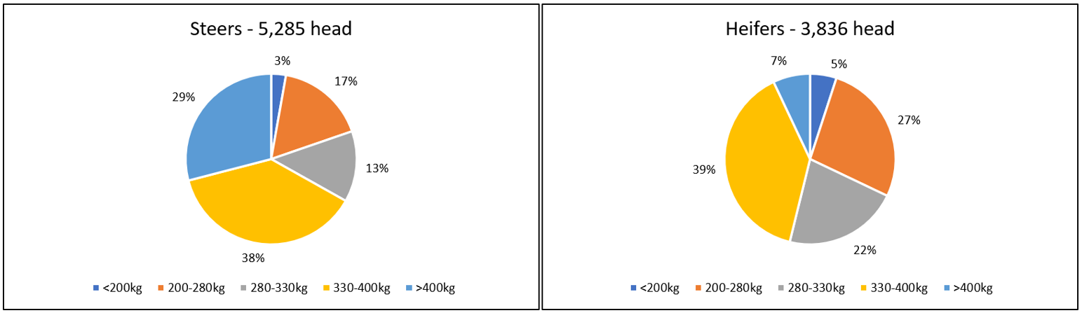 Cattle Comments - Graph-1