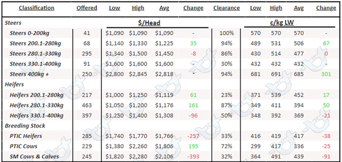 Cattle Comments 24.02.23_7