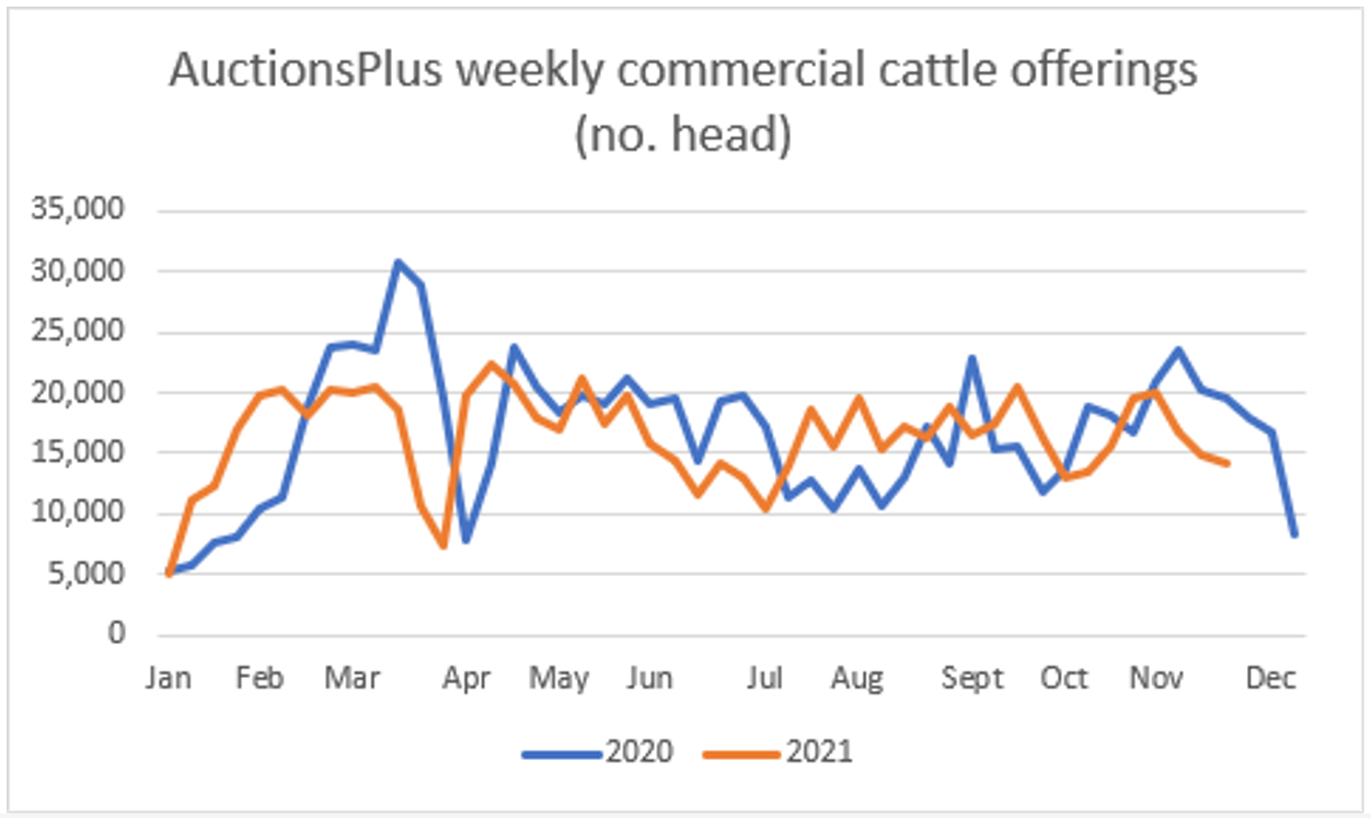 Cattle Comments Graph