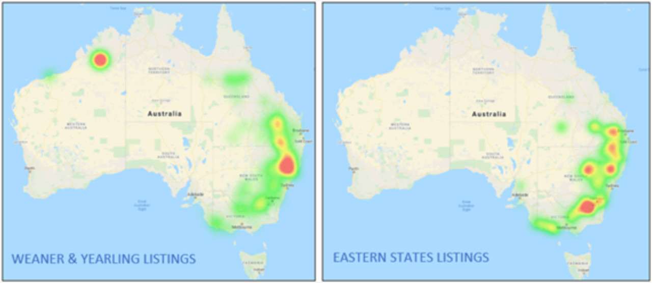 Cattle Preview 4.11.21 Listings Heatmap