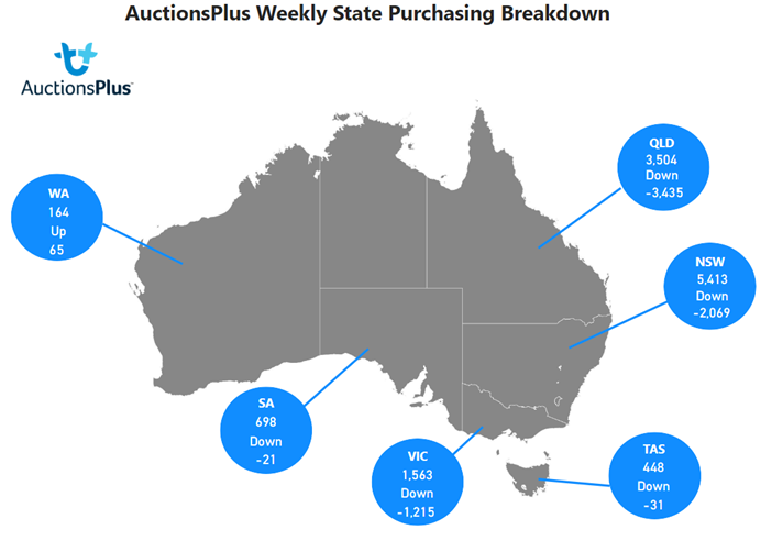 Cattle breakly purchasing weekdown 18.11.22