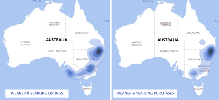 Cattle comments 13.1.23 weaner yearling and listings