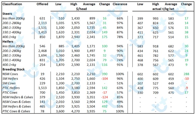 Cattle market comments 20.08.21