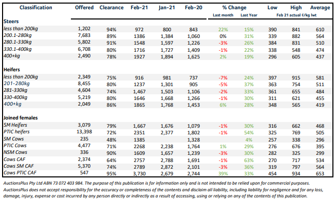 Cattle prices average 30 higher year-on-year through February auctionsplus marketpulse 2