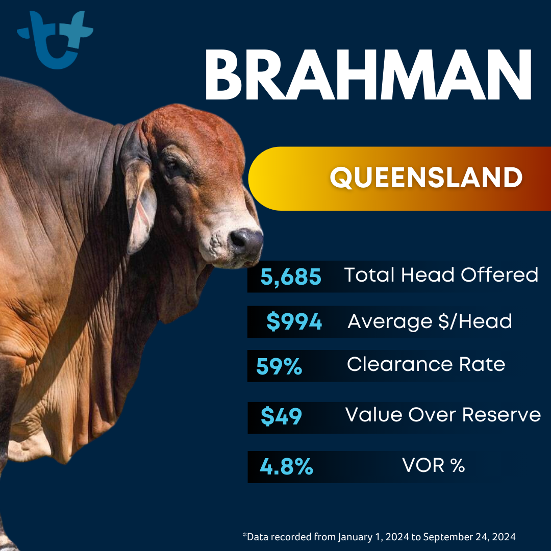 Cattle stats (1)