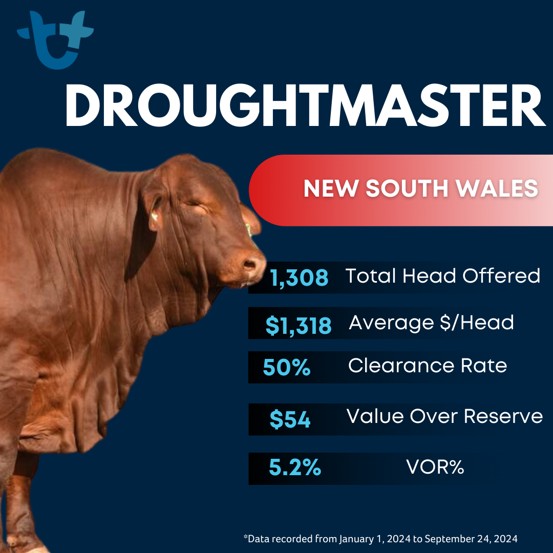 Cattle stats (3)