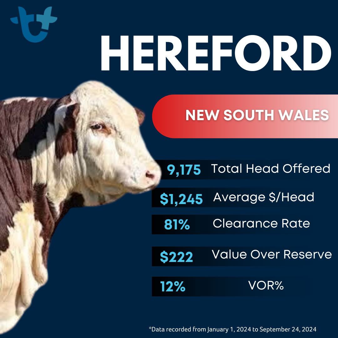 Poll Hereford Stats