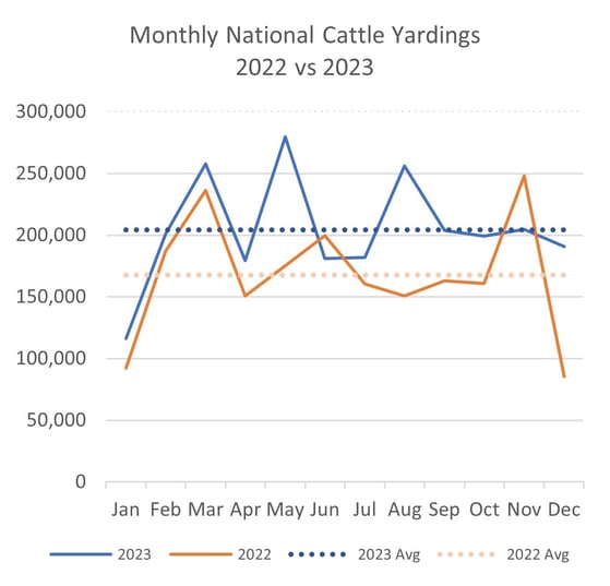 Cattle yardings