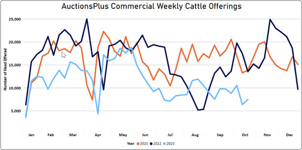 Cattle8