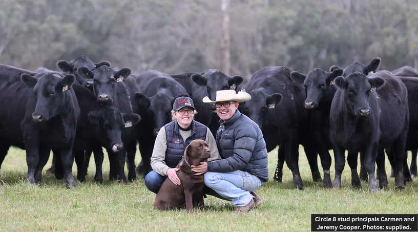 Circle 8 females powering up new and established Angus herds_8