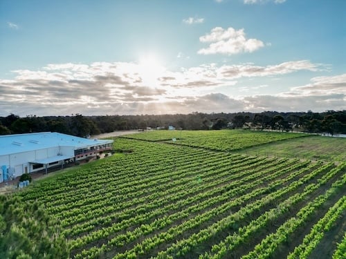 Colliers Capel Wale Wines 2