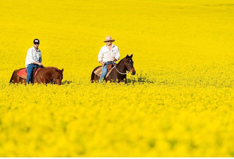 Cream of the crop rural photographers thank a farmer auctionsplus (4)-1