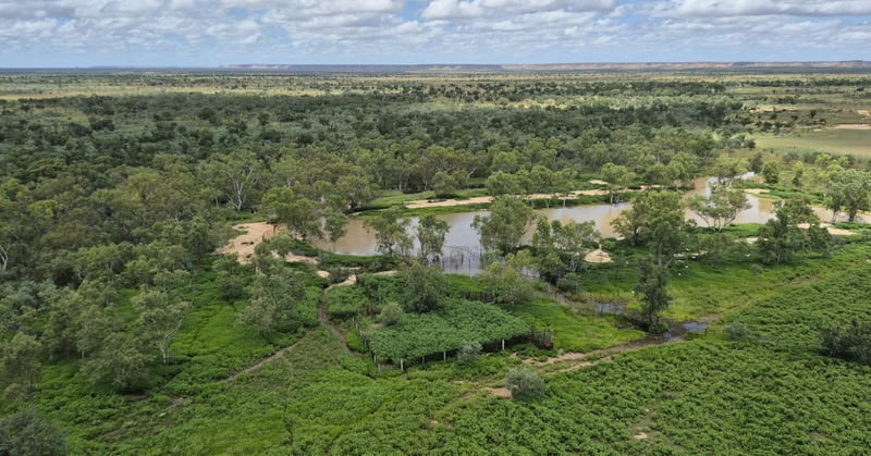 Dampier Downs Station, WA_Colliers 1