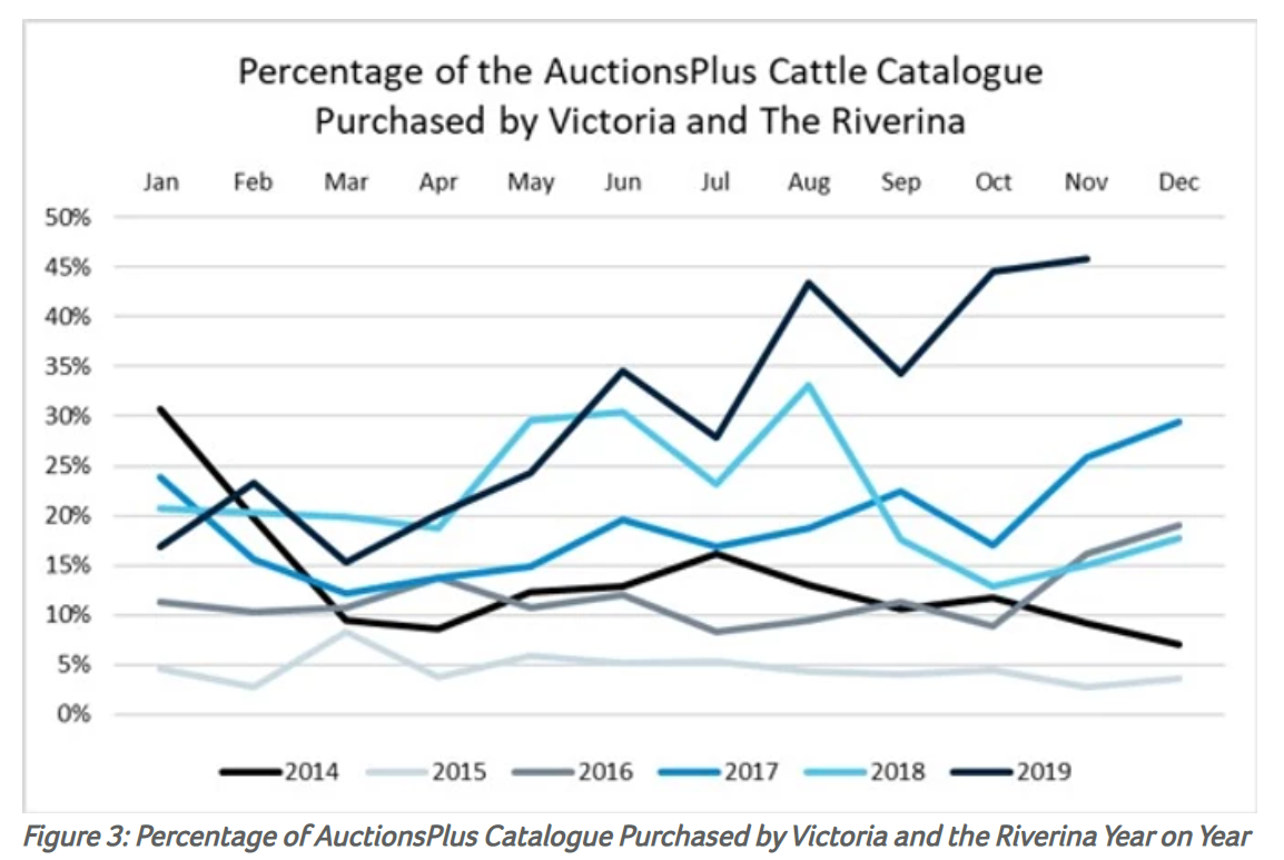 Does the future of Australia’s cattle herd hinge on Victoria and the Riverina 3