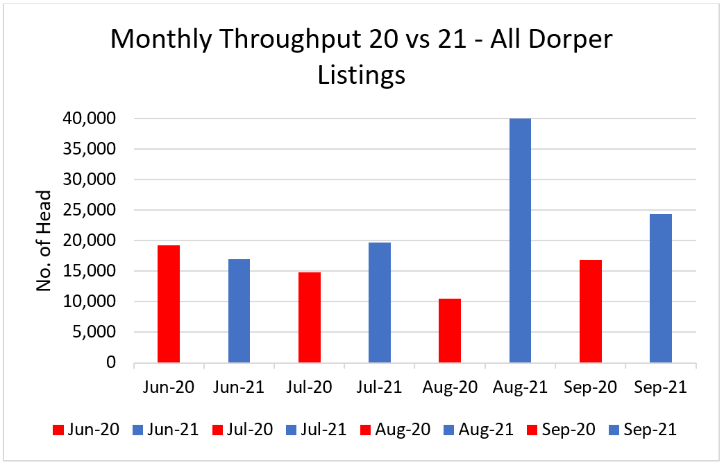 Dorper 1 - Monthly Throughput