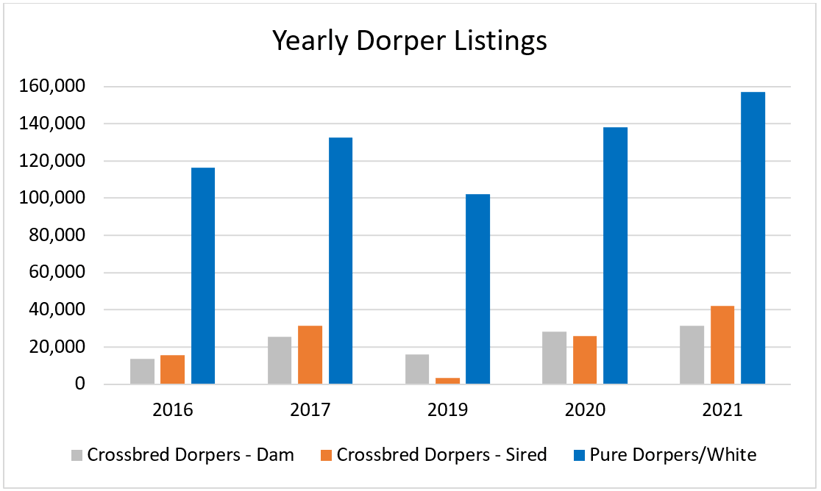 Dorper 2 - Listings