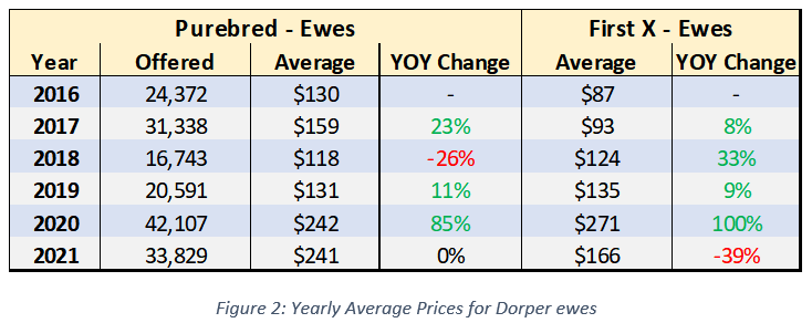 Dorper prices surge on the back of strong restocker demand 2