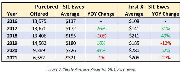 Dorper prices surge on the back of strong restocker demand 3