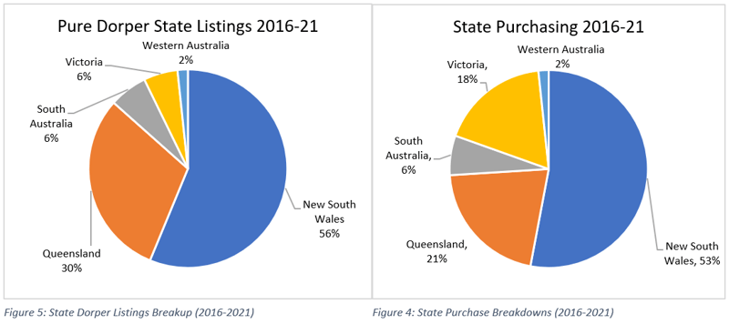 Dorper prices surge on the back of strong restocker demand 4