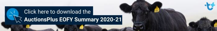 Download the AuctionsPlus EOFY Summary 2020-21