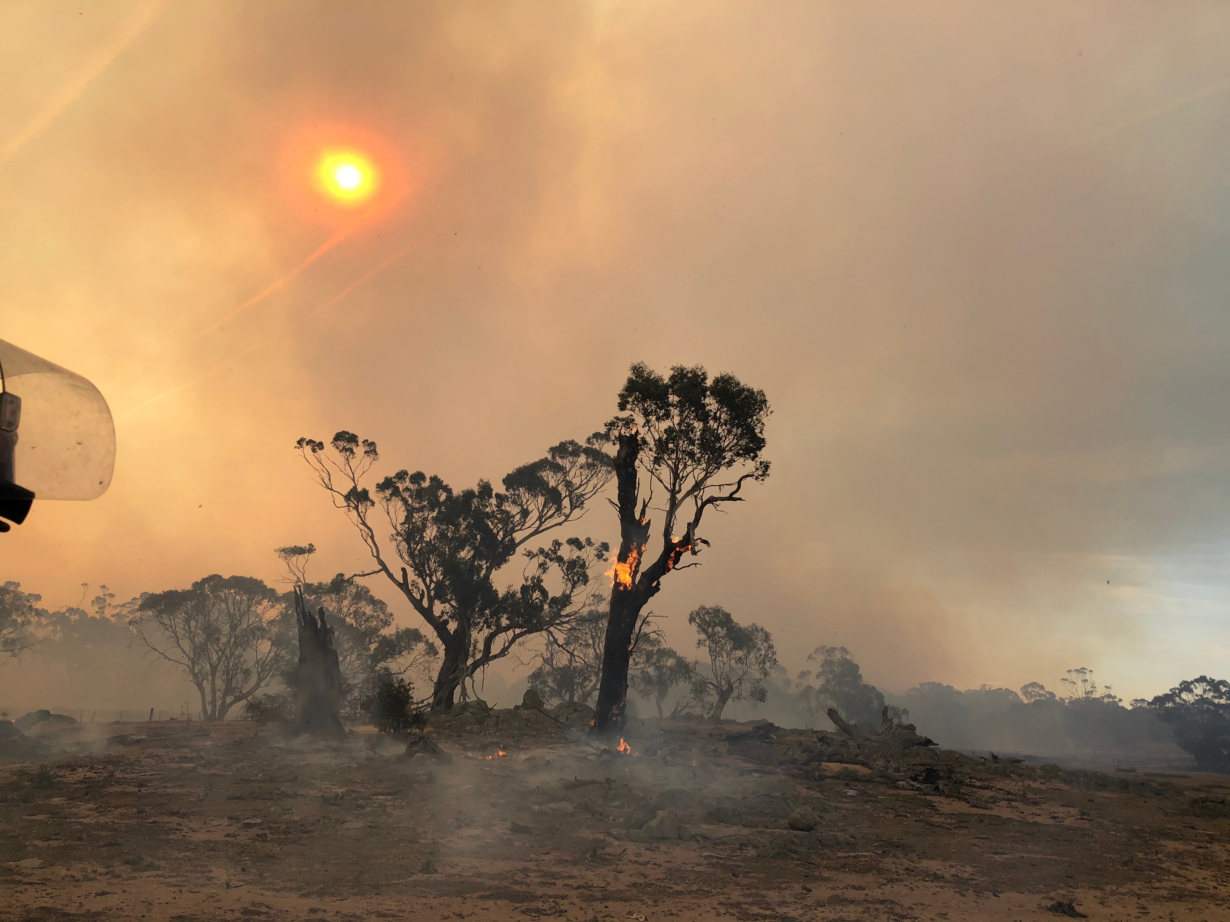 Bushfire