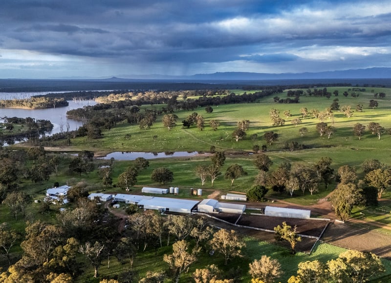 ELDERS Glenvale 176 (edit)